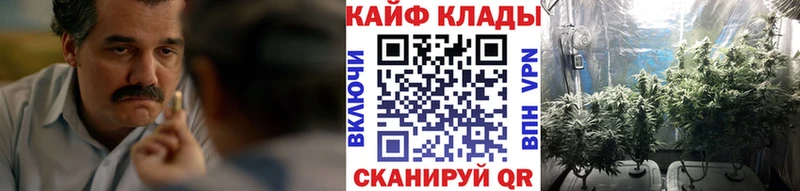 Магазин наркотиков Боровичи Каннабис  Альфа ПВП  ГАШ  Меф мяу мяу  COCAIN 