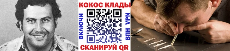 COCAIN Fish Scale  цены   Боровичи 