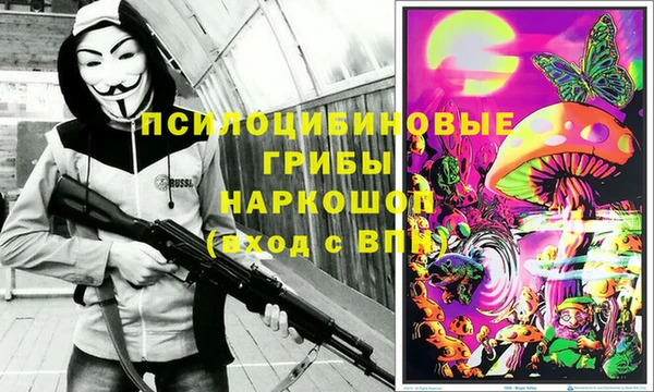дживик Балахна